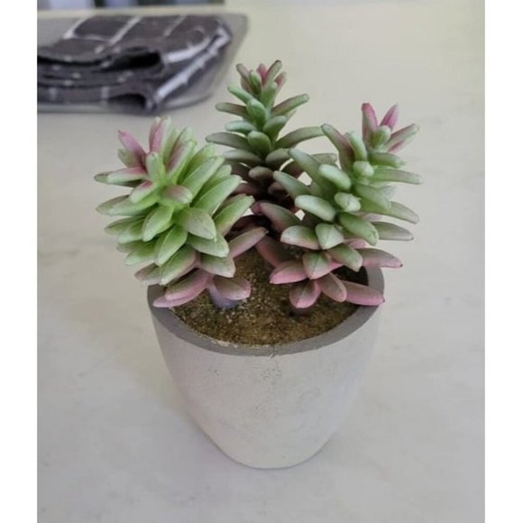 New Artificial Plants, 3 Pack Realistic Faux Succulents in Pots with Flower - Picture 4 of 4